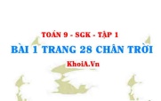 Bài 1 trang 28 Toán 9 Tập 1 Chân trời sáng tạo